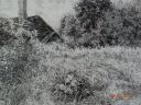 Filename=DSC01575.JPG
Filesize=869KiB
Dimensions=1600x1200
Date added=Feb 04, 2017 DSC01575.JPG